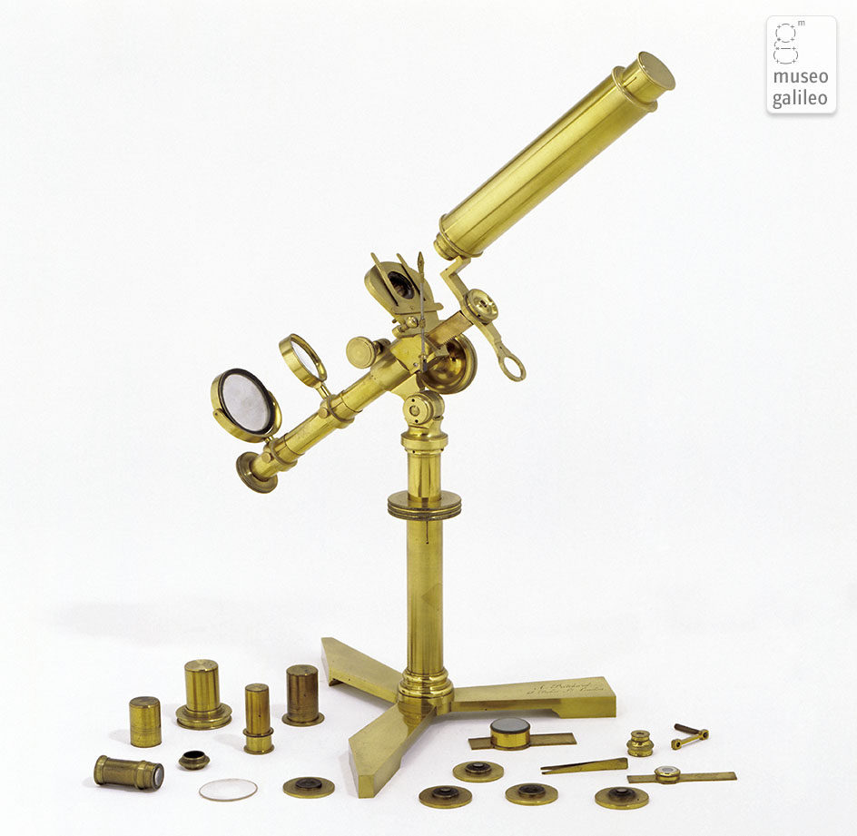 Microscopio composto e semplice (Inv. 2664, 3217)