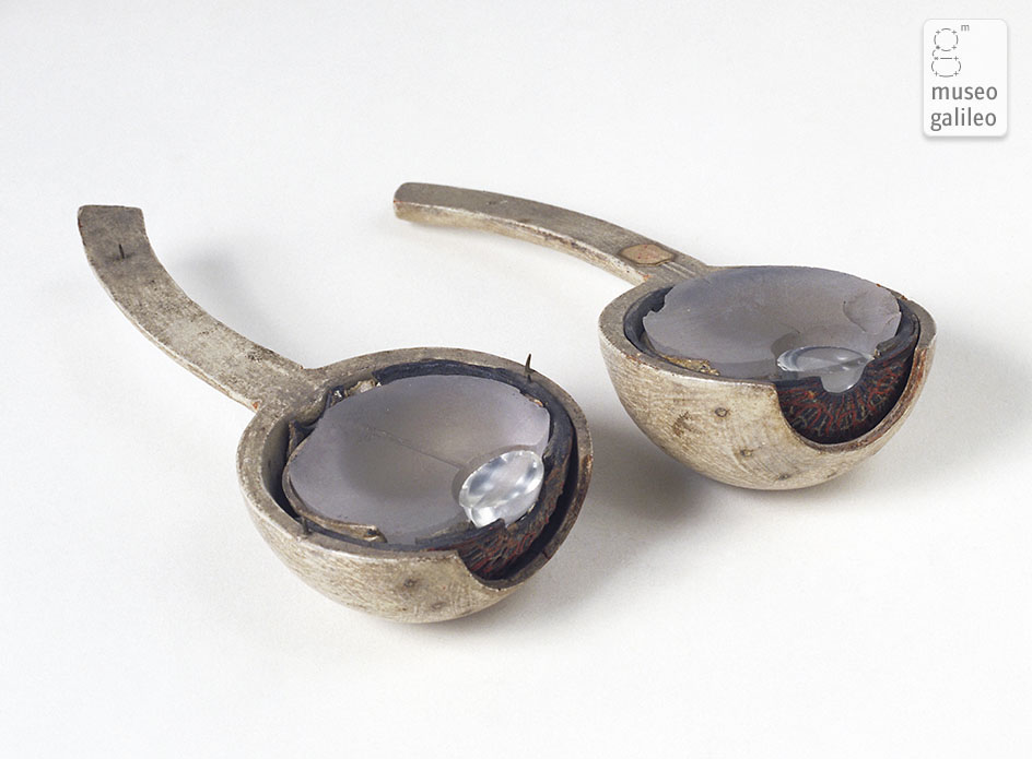 Modello di bulbo oculare (Inv. 2582)