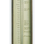Termometro a mercurio (Inv. 385)