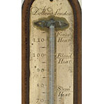 Termometro a mercurio (Inv. 2029)